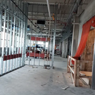 Our gallery