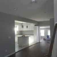 Our gallery